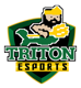 TritonEsports