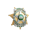 WashoeSheriff