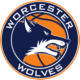 Worcester Wolves Avatar