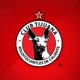 Xolos