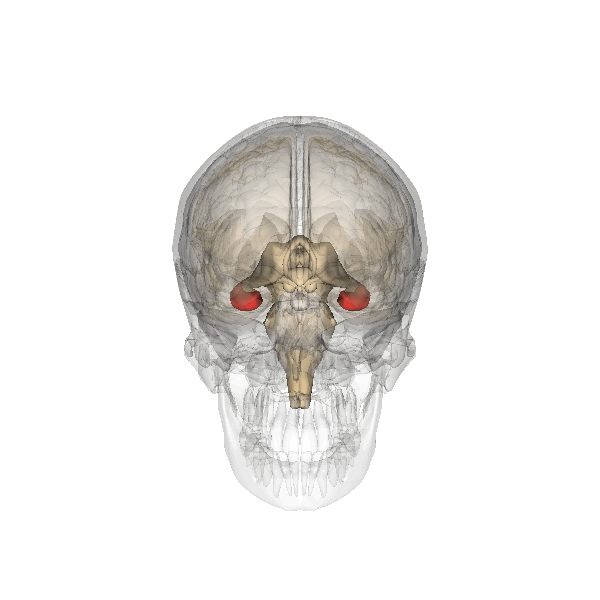 Giphy profile picture for @alzheimer