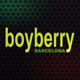 boyberry