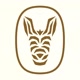 burro_iceland