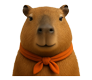 capybam