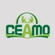 ceamo