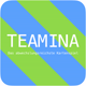 teamina_game