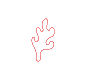 coralstudio