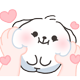 cottonboksan