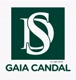 dsgaiacandal