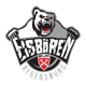 eisbaeren-regensburg