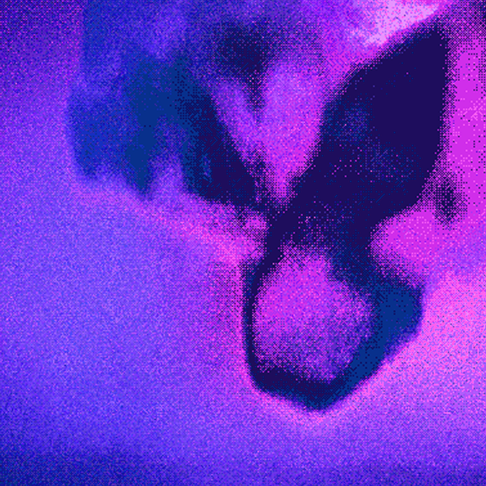 Giphy profile picture for @elicit
