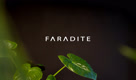 faradite