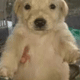 fashionkillaa