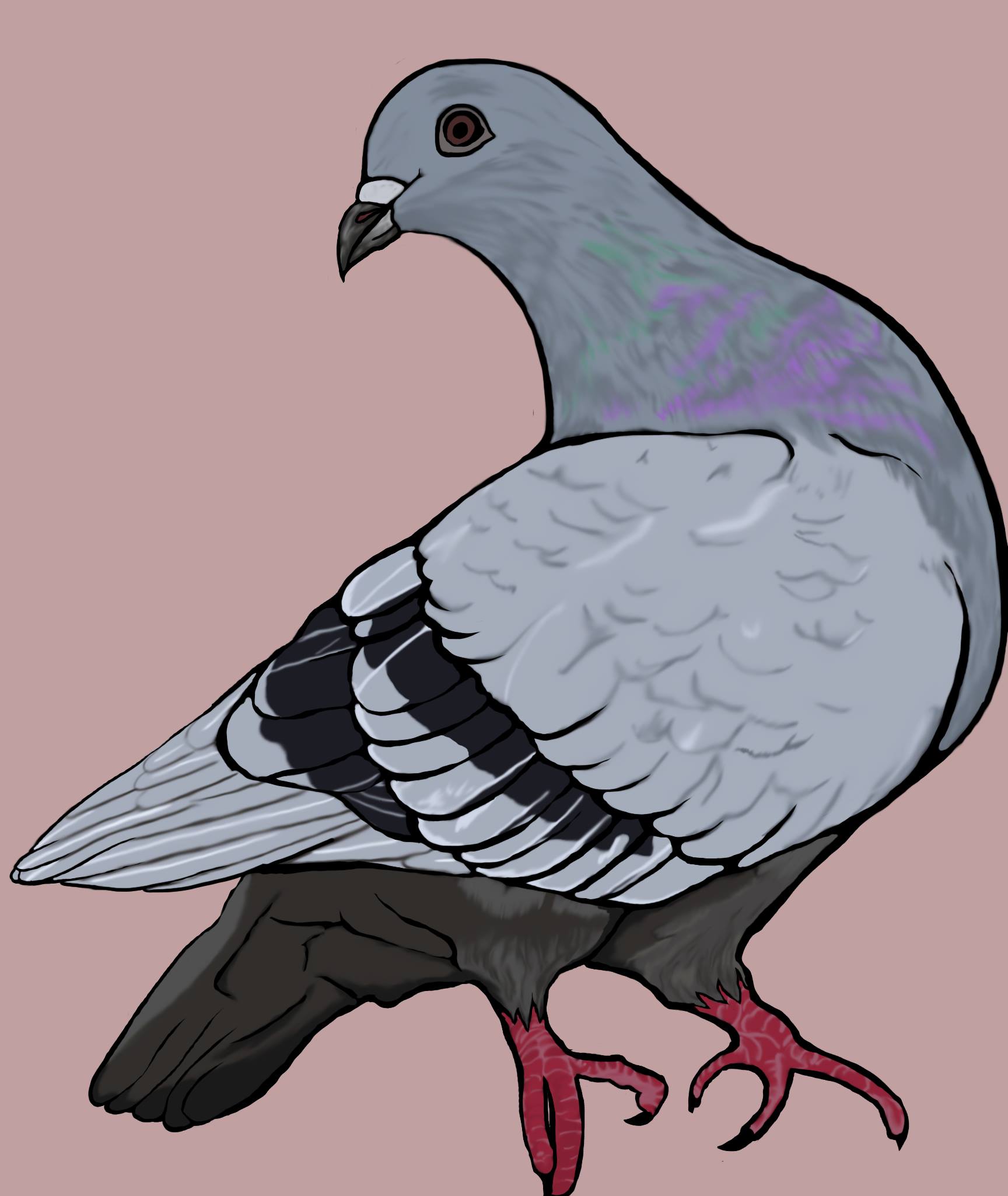 Giphy profile picture for @feathers