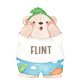 flintshop