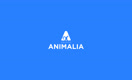 gruppo_animalia