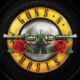 Guns N' Roses Avatar