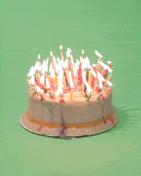 Featured image of post Animated Gif Cat Birthday Gif The best gifs for cat