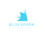 BlueSparkSolutions