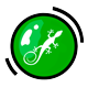 iguanaproducciones