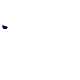 lunela