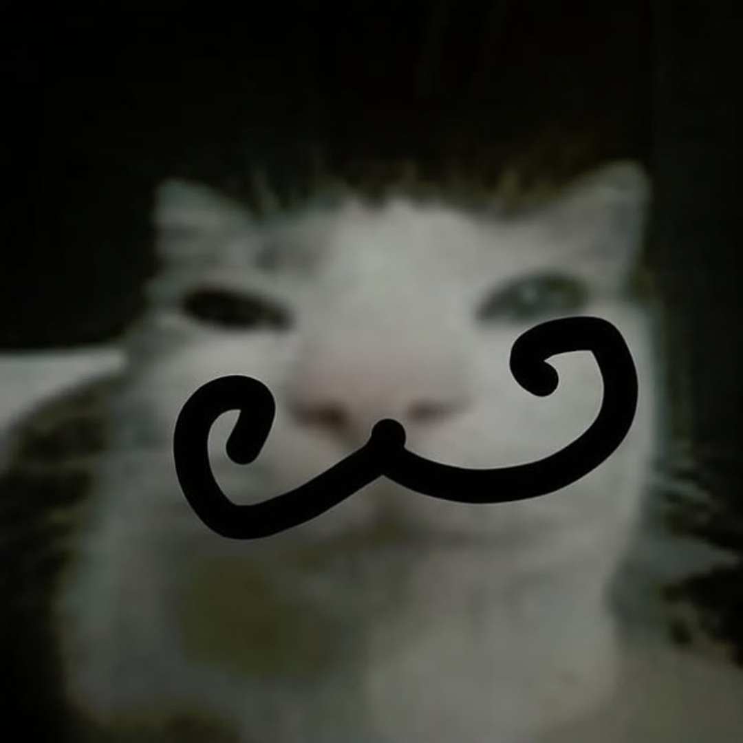 Sad Cat GIFs - Find & Share on GIPHY