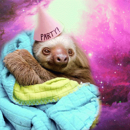 sloth in space gif