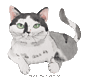 purrmotivation