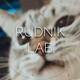 rudnik_lab