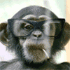 Giphy profile picture for @sale