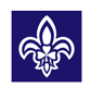 scoutingireland