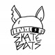 skatebats