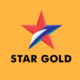 Star Gold Avatar