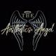 theaestheticsangel