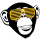 themonkeyhub