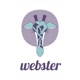 Webster Avatar