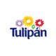 tulipan_espana