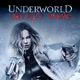 Underworld Blood Wars  Avatar