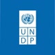 UN Development Programme Avatar