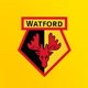 Watford Football Club Avatar