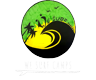 wesurfcamps