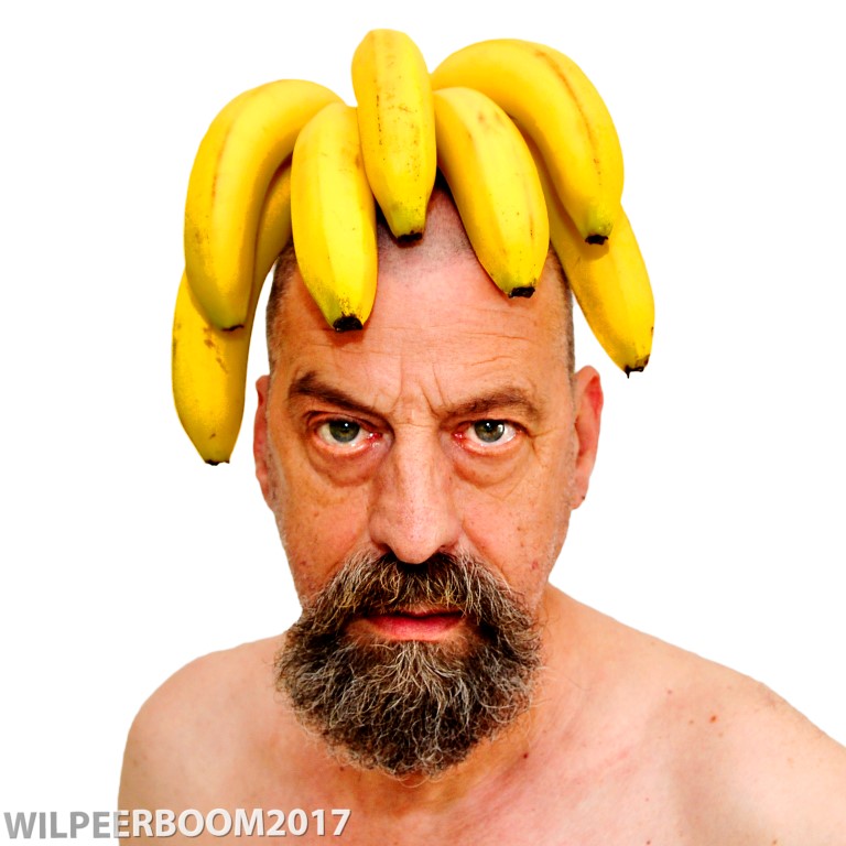 Giphy profile picture for @wil