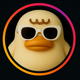 zzkkc