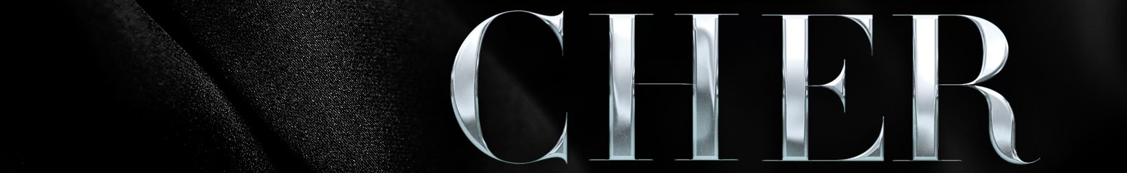 Giphy banner for @cher