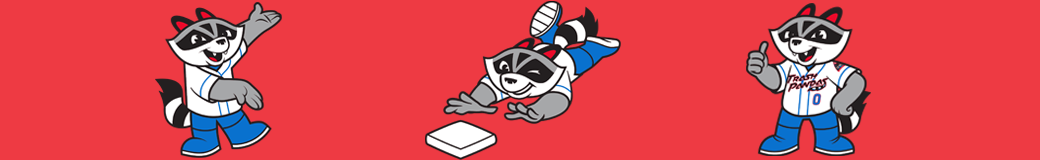 Baseball Raccoon GIF by Rocket City Trash Pandas - Find & Share on GIPHY