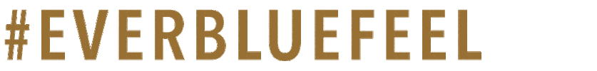 Everblue Sticker