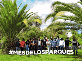 Mesdelosparques GIF