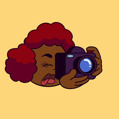Video Photographer GIF by Bryson Williams