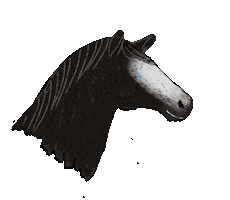 Horse Ice Sticker by winterlichtmalerei