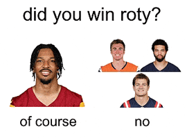 Nfl Commanders GIF
